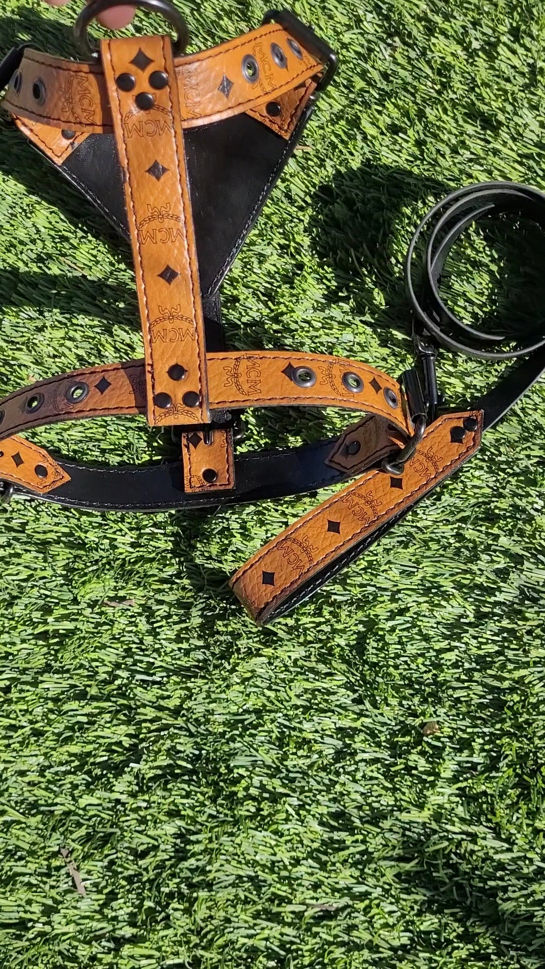 FRENCH BULLDOG HARNESS & LEASH